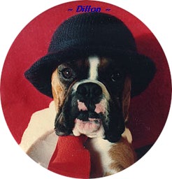 Click here to see my Dillon Page